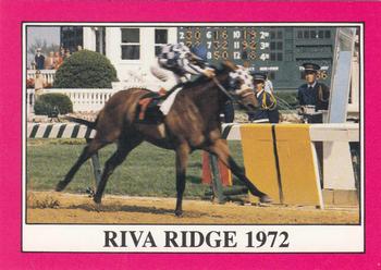 1991 Horse Star Kentucky Derby #98 Riva Ridge Front